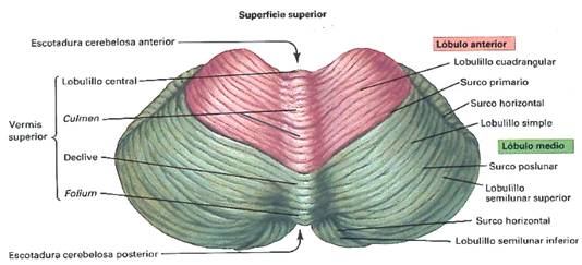 Ver las imágenes de origen