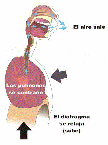 Ver las imágenes de origen