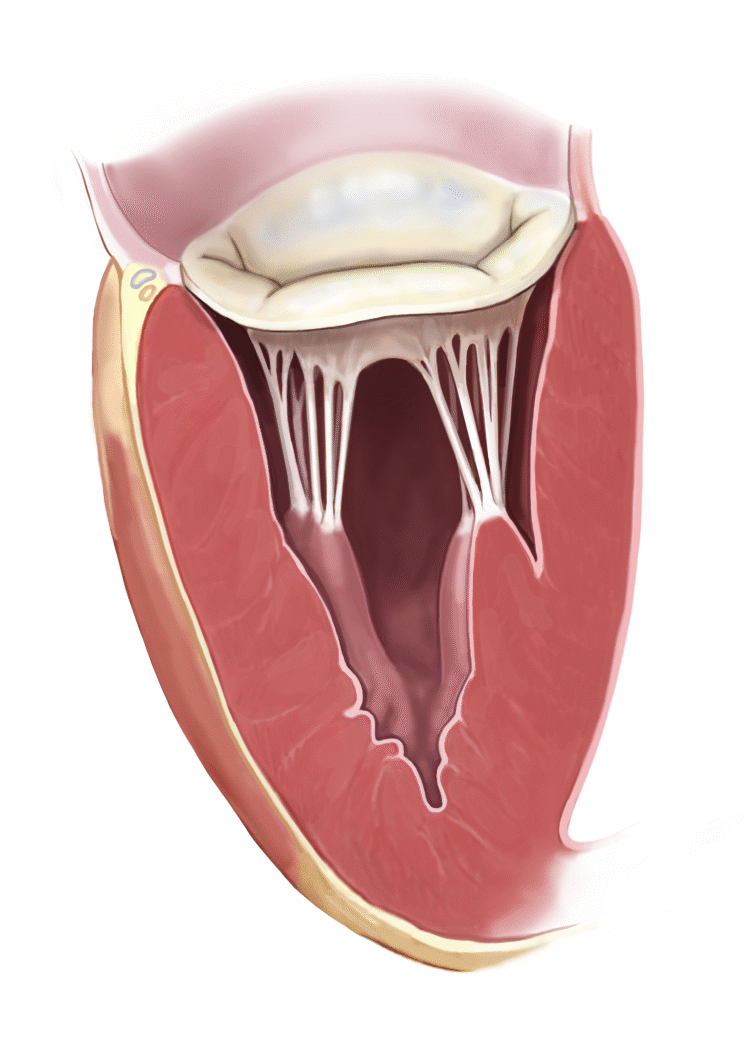 Ver las imágenes de origen